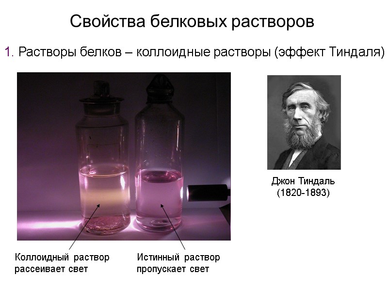 Коллоидный раствор рассеивает свет Истинный раствор пропускает свет Свойства белковых растворов Джон Тиндаль (1820-1893)